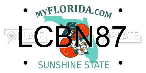 LCBN87 Florida License Plate