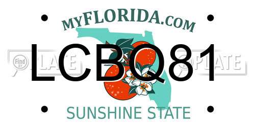 LCBQ81 Florida License Plate