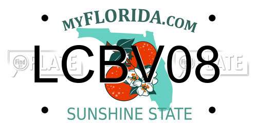 LCBV08 Florida License Plate