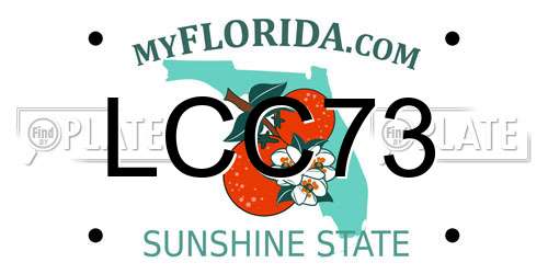 LCC73 Florida License Plate