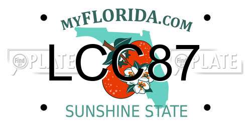 LCC87 Florida License Plate