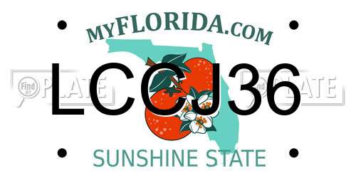 LCCJ36 Florida License Plate