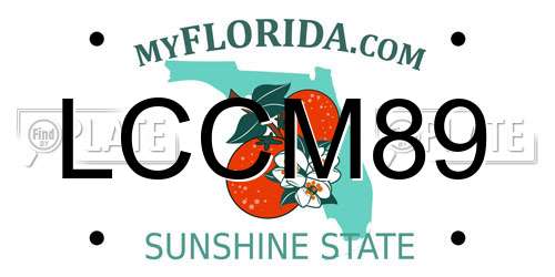 LCCM89 Florida License Plate