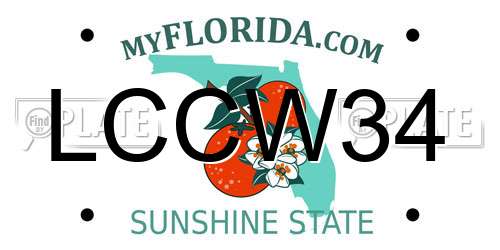 LCCW34 Florida License Plate