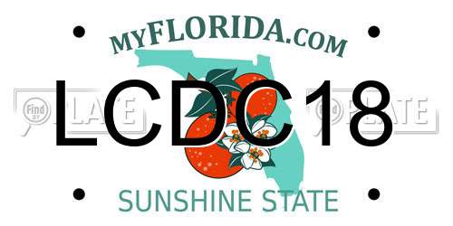 LCDC18 Florida License Plate