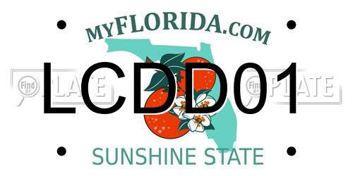 LCDD01 Florida License Plate