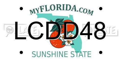 LCDD48 Florida License Plate