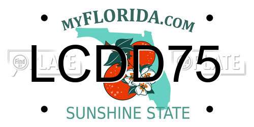 LCDD75 Florida License Plate