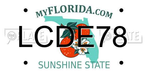LCDE78 Florida License Plate