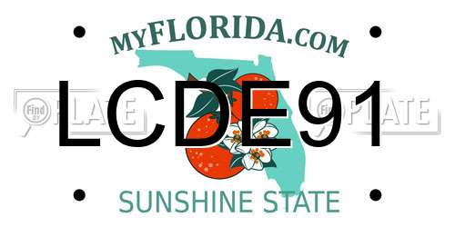 LCDE91 Florida License Plate