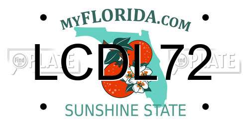 LCDL72 Florida License Plate