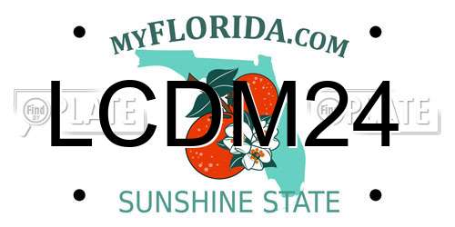 LCDM24 Florida License Plate