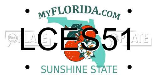 LCES51 Florida License Plate