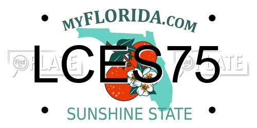 LCES75 Florida License Plate