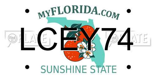 LCEY74 Florida License Plate