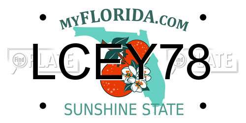 LCEY78 Florida License Plate