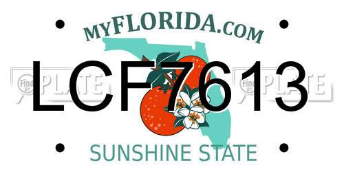 LCF7613 Florida License Plate