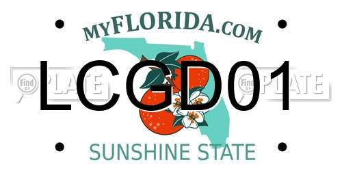 LCGD01 Florida License Plate