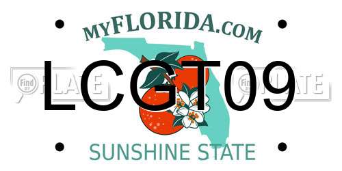 LCGT09 Florida License Plate