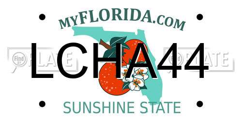 LCHA44 Florida License Plate