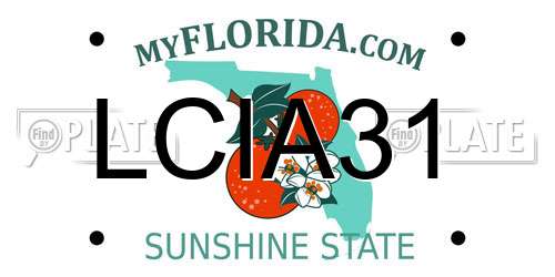 LCIA31 Florida License Plate