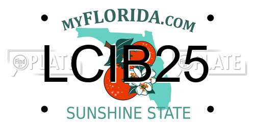 LCIB25 Florida License Plate