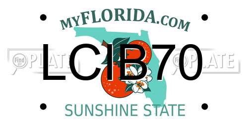 LCIB70 Florida License Plate