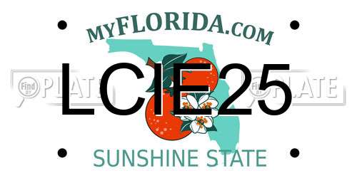 LCIE25 Florida License Plate