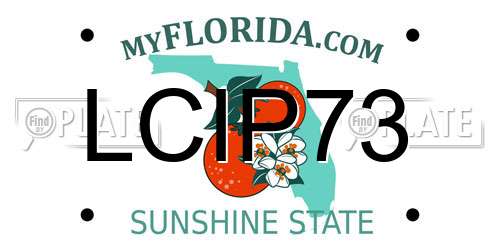 LCIP73 Florida License Plate