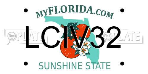 LCIV32 Florida License Plate