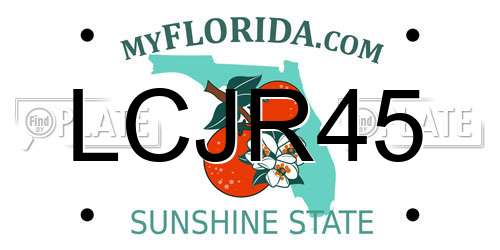 LCJR45 Florida License Plate