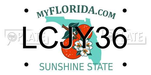 LCJY36 Florida License Plate