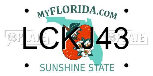 LCKJ43 Florida License Plate