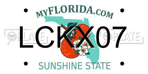 LCKX07 Florida License Plate