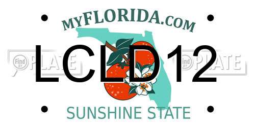 LCLD12 Florida License Plate