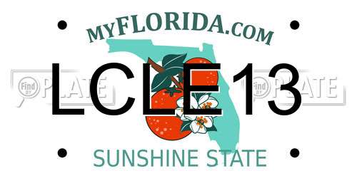 LCLE13 Florida License Plate