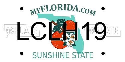 LCLH19 Florida License Plate