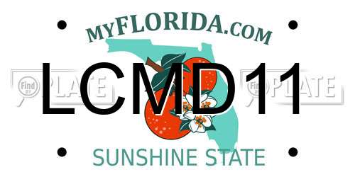 LCMD11 Florida License Plate