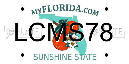 LCMS78 Florida License Plate