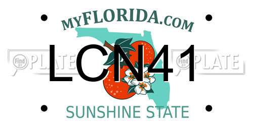 LCN41 Florida License Plate