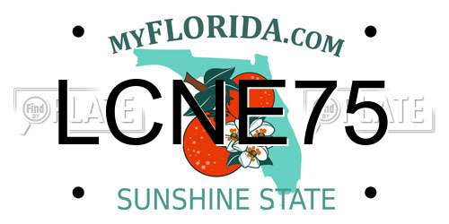 LCNE75 Florida License Plate