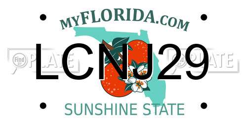 LCNJ29 Florida License Plate