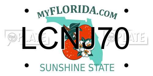 LCNJ70 Florida License Plate