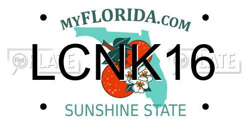 LCNK16 Florida License Plate