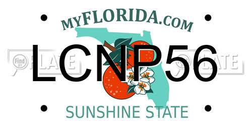 LCNP56 Florida License Plate