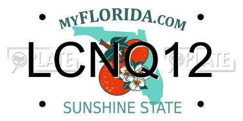 LCNQ12 Florida License Plate