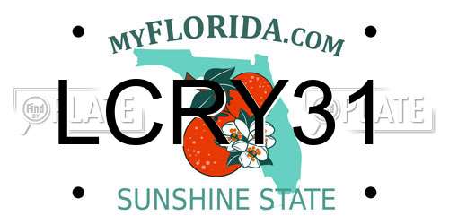 LCRY31 Florida License Plate