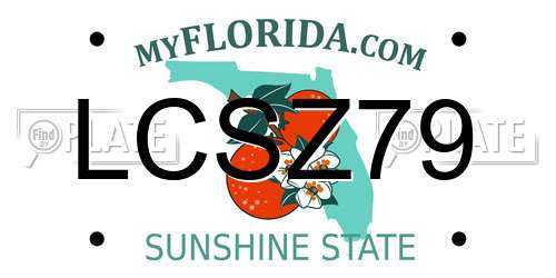 LCSZ79 Florida License Plate