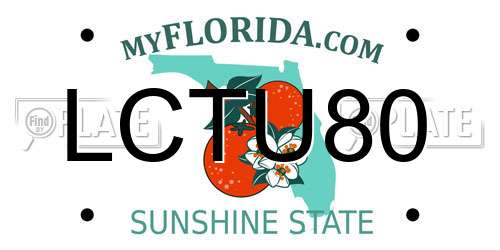 LCTU80 Florida License Plate
