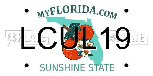 LCUL19 Florida License Plate